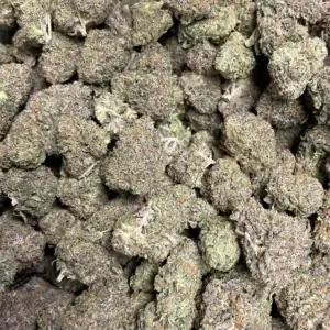 Indica - Blue Cookies THCa 3.5g