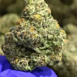 Hybrid - Cherry ZaZa 3.5g