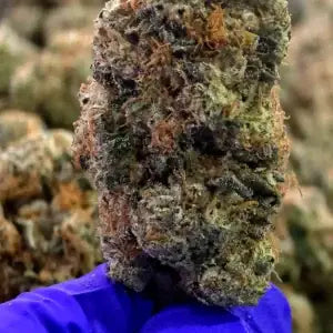 Indica - Headband THCa 3.5g