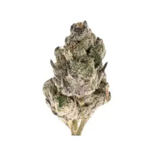 Sativa - Dirty Girl THCa 3.5g