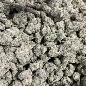 Sativa - Dirty Girl THCa 3.5g