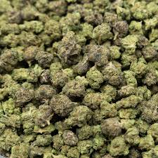 Indica - Gorilla Glue THCa 3.5g