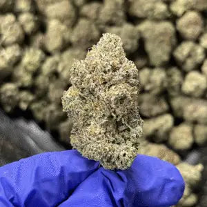 Indica - Presidential Kush THCa 3.5g