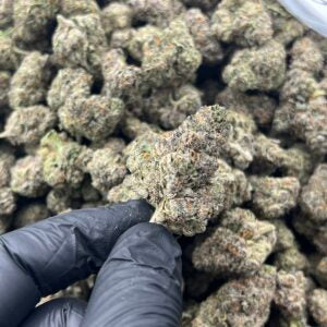 Indica - Only Fans THCa 3.5g